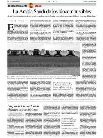 Jornal espanhol fala sobre pinhão manso